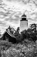 Wildflowers Around Dice Head Lighthouse Tower -BW